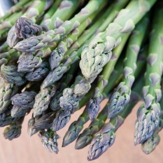Asparagus 'Backlim' F1 (image for) Asparagus 'Backlim' F1