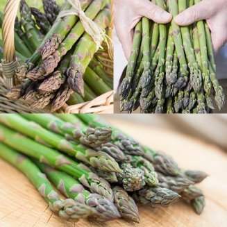 Asparagus Collection (18 crowns) (image for) Asparagus Collection (18 crowns)