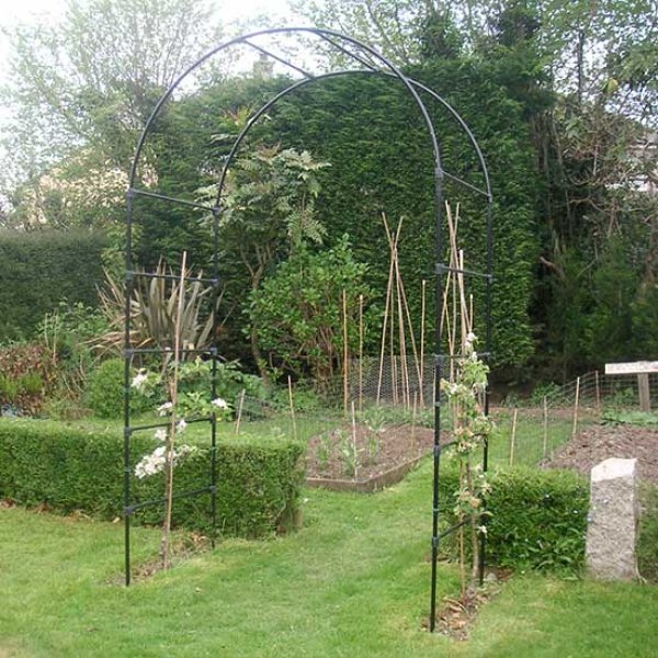 Agriframes Fruit Tree Arch | A Traditionally Designed Beauty