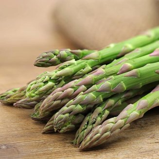 Asparagus 'Raffaelo' F1 (image for) Asparagus 'Raffaelo' F1