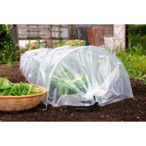 Easy Poly Tunnel (Standard)