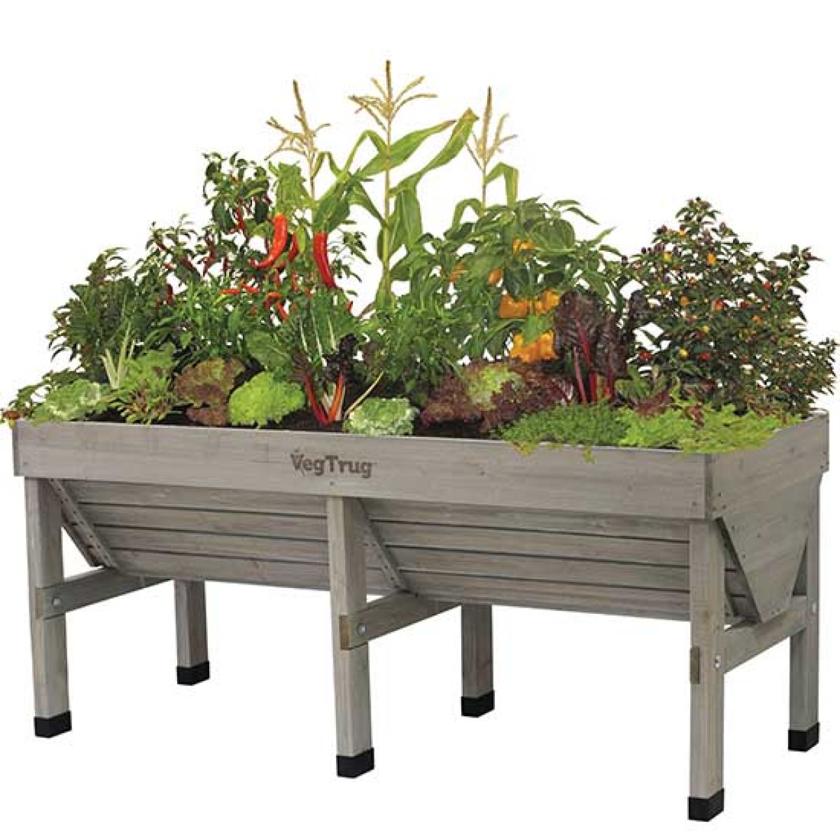 VegTrug™ Medium Patio Planter (Grey Wash) [XVT013] : Pomona Fruits