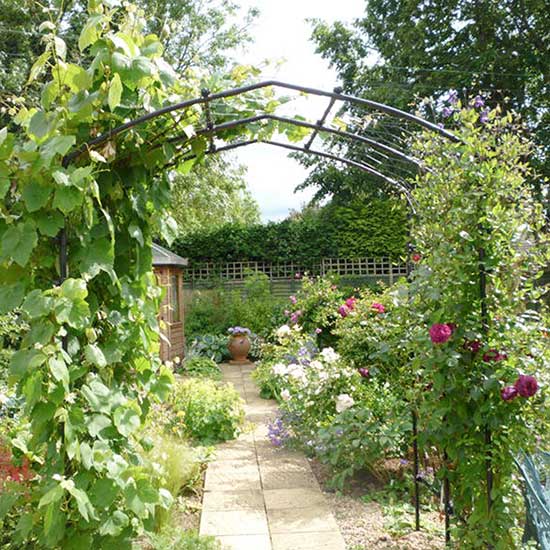 Agriframes Vine Arch| A Beautiful Support For Your Garden